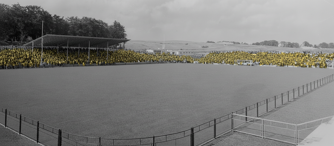 Van passie voor Arnhem en onze club naar een eigen webshop! 💛🖤